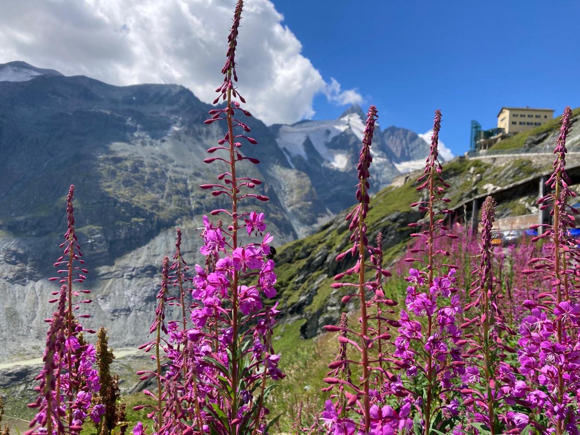 B-Lodge Kaernten Kirchbach  المظهر الخارجي الصورة