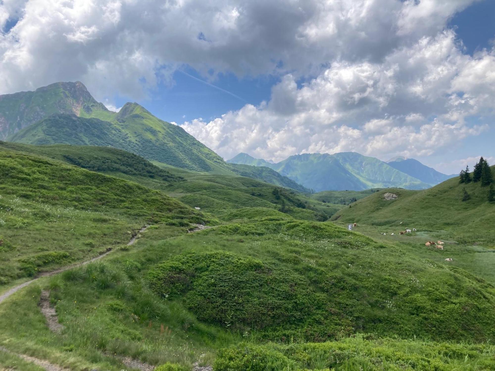 B-Lodge Kaernten Kirchbach  المظهر الخارجي الصورة
